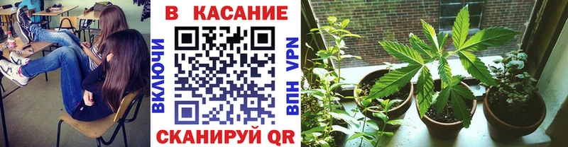  Cocaine Екатеринбург