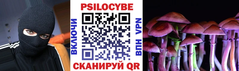 закладки  Екатеринбург  MEGA маркетплейс  Псилоцибиновые грибы мицелий 